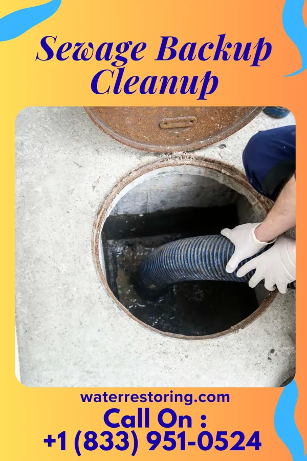 Sewage Backup Cleanup in Hudson, OH