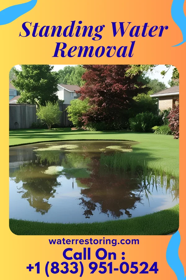 Standing Water Removal in Hudson, OH